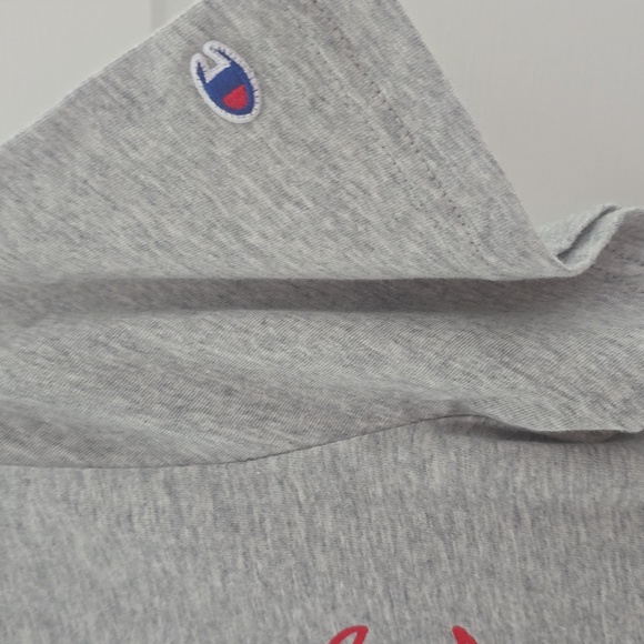 CHAMPION BRAND SIGNATURE BOYS GRAY SHORT SLEEVE TEE-SHIRT SIZE XL 18/20 - Picture 6 of 13